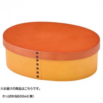 わっぱ弁当箱 800ml 栗 木目調 弁当箱 ランチボックス 抗菌加工 電子レンジ対応 食洗機対応 大人 子供 メンズ レディース 男子 女子 おしゃれ 樹脂製 曲げわっぱ風 お弁当箱 セトクラフト