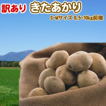 きたあかり 9.5-10kg 訳あり 北海道 じゃがいも S-Mサイズ 送料無料  ※沖縄は送料別途加算 キタアカリ