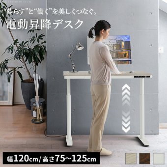 電動昇降デスク 幅120cm テーブル ワークデスク『電動昇降デスク SD』高さメモリー機能 高さ調整 USB付き おしゃれ 電動昇降テーブル PCデスク パソコンデスク オフィスデスク ゲーミングデスク 昇降デスク 昇降テーブル 電動 昇降 デスク
