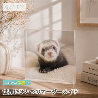 フェレット ガラスブロック ペット ハリネズミ ギフト ペットグッズ オリジナル ペット仏壇 贈り物 ペット写真 肉球 写真入り メモリアル 高級 誕生日 名入れ うちの子記念日 写真立て ペットロス 置き物 愛猫家 おしゃれ 猫 虹の橋 犬 メモリアルプレート フォトキューブ 記念 プレゼント 小動物 ディスプレイ メモリアルフォトフレーム 記念日 うちの子 飼い主 メモリアルグッズ【c01】