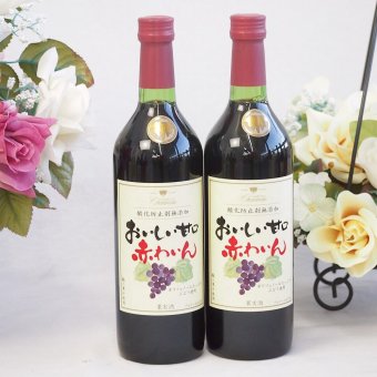 2本セット(酸化防止剤無添加 おいしい甘口 赤わいん) 720ml×2本