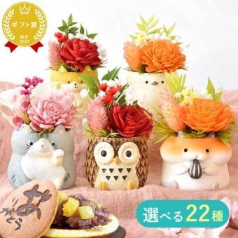 敬老の日 すぐ贈れるギフト 即日発送 誕生日 プレゼント ギフト 花 フラワーギフト プリザーブドフラワー ミニ 動物 アニマル フラワーアレンジメント バラ 薔薇 一輪 ふくろう 犬 猫 かわいい おしゃれ どら焼き 送料無料 スイーツ お菓子 和菓子 母 実母 自分の母 義母 妻 40代 50代 60代 70代 花セット 花とお菓子 2000円 3000円