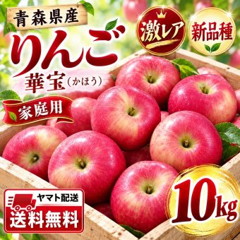 【新品種・希少】青森県産　りんご　家庭用　華宝（かほう）　大玉　10kg　24～40玉　送料無料！