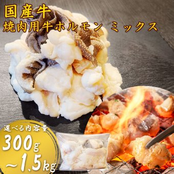 土佐あかうし・ゆすはら牛入り 国産牛 ミックスホルモン 焼肉 BBQ 炒め物 牛もつ 小腸 シマチョウ ミノ ハチノス センマイ ギアラ ハツ 味付けなし 小分け 高知産 キャンプ アウトドア 必要な量だけ使える小分け袋入り 【ヤマトクール便・送料無料】