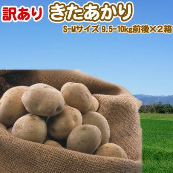 きたあかり 9.5-10kg×2箱 訳あり 北海道 じゃがいも S-Mサイズ 送料無料 ※沖縄は送料別途加算 キタアカリ