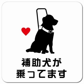 補助犬が乗ってます おすわり犬AタイプハートAタイプ ホワイト カーサイン 車 マグネットステッカー 犬 マグネット 強力 13x13cm 正方形 障がい者マーク 安全運転  煽り運転対策  安全対策 おしゃれ かわいい 