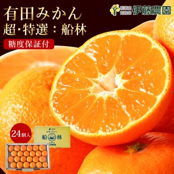 みかん 超特選 有田みかん 送料無料 小玉 高級 糖度12度以上 光センサー選果 船林 ふなりん S M 22～24個 約1.5kg 和歌山 手詰め ご当地 お贈答 結婚 出産 内祝い 誕生日プレゼント ギフト 誕生日 結婚祝い 出産祝い 内祝い ギフト