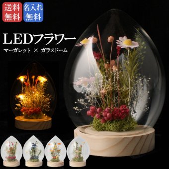 名入れ LEDフラワー マーガレット ガラスドーム タマゴ型 フラワーギフト 花ギフト 間接照明 インテリア プレゼント 誕生日 記念日 母の日 お祝い 女性