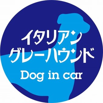 Dog in car ドッグインカー ステッカー カーステッカー イタリアングレーハウンド レトロ書体 ブルー シール 煽り運転対策 カーサイン