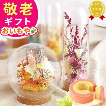 【まだ間に合う】 敬老の日 すぐ贈れるギフト 即日発送 誕生日 プレゼント 花 ギフト ドライフラワー ガラスドーム アンティーク ナチュラル インテリア 雑貨 置物 玄関 寝室 バウムクーヘン 選べるセット 送料無料 スイーツ お菓子 洋菓子 ギフトセット 母 おしゃれ 実母 自分の母 義母 妻 40代 50代 60代 70代 花セット 花とお菓子 女性 フラワーギフト おいもや