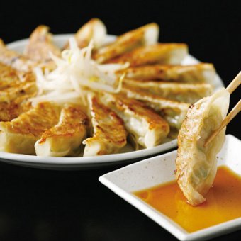 特選はままつ餃子(45個)  ／餃子 中華惣菜・点心 惣菜・レトルト 食品 敬老の日 プレゼント ギフト お彼岸 お供え 秋 送料無料 取り寄せ グルメ 産地直送 センター スイーツ お菓子 高級 ご飯 食品 飲料 おかず つまみ おやつ