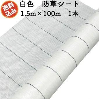 防草シート 白色（サンホワイト） 1.5m×100m 1本 抗菌剤入り UV剤入り  反射シート 草抑え 除草シート 雑草防止シート 雑草対策 農業資材 太陽光 環境制御 防ぐ 作物 野菜 果物 畑 農業 農園 農家 園芸 マルチング 温度抑制
