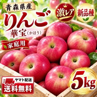 【新品種・希少】青森県産　りんご　家庭用　華宝（かほう）　大玉　5kg　12～20玉　送料無料！