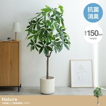 照明 ライト パキラ 観葉植物 人工 フェイクグリーン 室内 リビング オフィス 一人暮らし 緑 インテリア 光触媒 空気清浄 消臭 抗菌 防汚 ホルムアルデヒド分解 おしゃれ 高さ150cm 造花 植木 鉢植え 新築祝い 開店