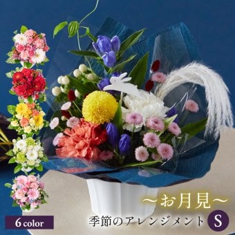 カラフルガーデン アレンジメントS  生花 花市場から直送 お祝い 誕生日 記念日