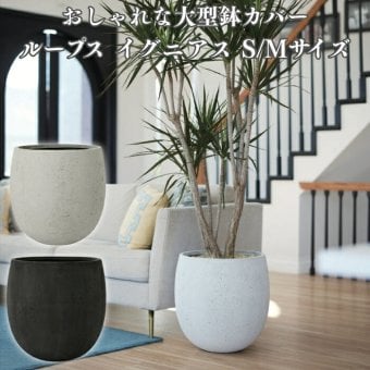 鉢カバー おしゃれ 大型 15号 11号 M S サイズ 植木鉢 KONTON コントン ループス イグニアス 丸型 ラウンド ファイバーストーン 軽量 室内 屋内 高級 北欧 モダン ナチュラル 観葉植物用 サボテン 多肉植物 特大 玄関 プランター 底穴なし オフホワイト チャコール