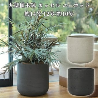 植木鉢 おしゃれ 大型 15号 13号 10号 円柱 筒型 ストレート セメント コンクリート調 ナチュラルモダン KONTON カッセル ユーポット ファイバーセメント 軽量 底穴あり 屋外 ウォッシュグレー ダークグレー 観葉植物 シンボルツリー 北欧 モダン ナチュラル インテリア