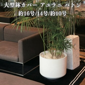 鉢カバー おしゃれ 大型 16号 14号 10号 円柱 筒型 ストレート ホワイト セメント KONTON アユラニ パトン ファイバーセメント 軽量 底穴なし 屋外 S M L ホワイト 観葉植物 シンボルツリー 北欧 モダン ナチュラル インテリア