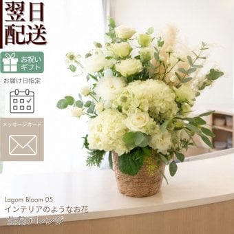 【Lagom Bloom 05】Cozy living　生花のアレンジメント インテリアのようなお花 新築のお祝いや開店のお祝いなど空間のインテリアのように飾ることができるお祝い花です 送料無料 生花 アレンジメント 誕生日 花 ギフト 送料無料 白 お祝いアレンジメント 御祝 記念日 開店御祝い 自宅用 お供え フラワーギフト 展示会 楽屋花 受付 おしゃれ 母の日 敬老の日 お中元 お歳暮