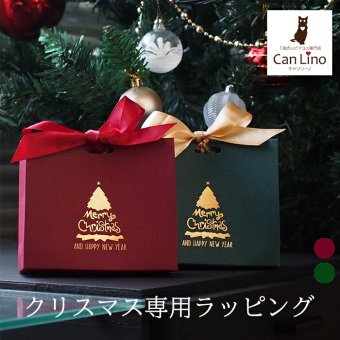 クリスマス ラッピング 紙袋 バッグ リボン 贈り物 サプライズ 記念日 彼女 彼氏 プレゼント おしゃれ