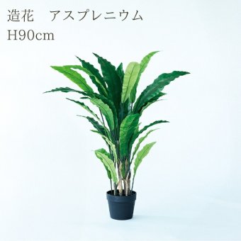 観葉植物 造花 アスプレニウム BROWN 全高約90cm 中型 フェイクグリーン 本物そっくり おしゃれ インテリア 人工観葉植物 アーティフィシャルグリーン オフィス 店舗 ホテル 開店祝い 室内 タニワタリ シダ フェイク
