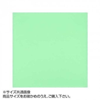 トレシー カラークロス 19×19cm A1919-YOO セージ 日本製 東レ 高性能 クリーニングクロス メガネ拭き スマホ 画面拭き レンズ拭き メガネクリーナー おしゃれ シンプル