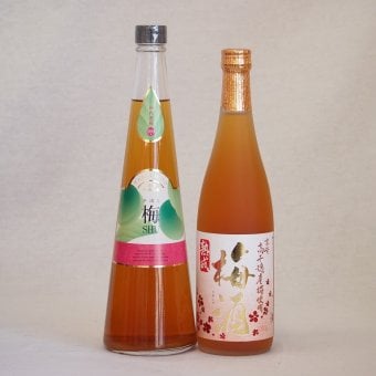 果物梅酒2本セット(高千穂産梅使用熟成梅酒 手作り梅酒(宮崎県)) 720ml×2本