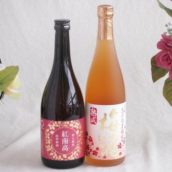 梅酒2本セット(紅南高梅酒20度(和歌山) 高千穂産梅使用熟成梅酒) 720ml×2本