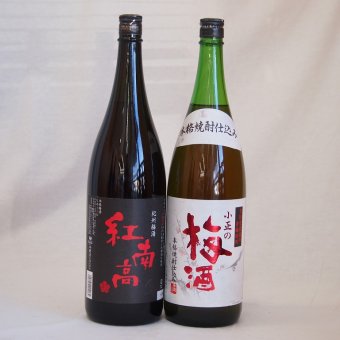 梅酒2本セット(紅南高梅酒20度(和歌山) 青梅使用小正の梅酒(鹿児島)) 1800ml×2本