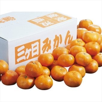 送料無料 お歳暮　 静岡県産 三ケ日みかん YO-628 ※11/2以降の出荷予定となります。北海道・沖縄・離島は配達不可 全国送料無料 お歳暮ギフト 早割 お歳暮2026 御歳暮 御見舞 お見舞い お取り寄せ グルメスイーツ
