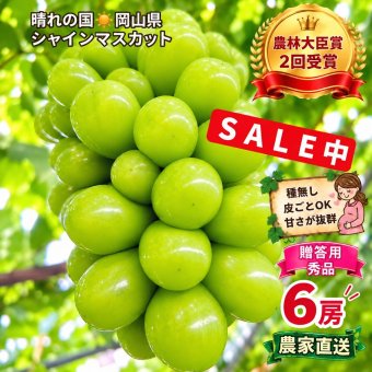 岡山県産 シャインマスカット 300g6房 贈答用秀品 国産 フルーツ