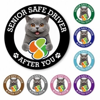 カーサイン 高齢者マーク SENIOR SAFE DRIVER ブリティッシュショートヘア マグネット 強力 直径13cm 肉球 日本製 車 ステッカー