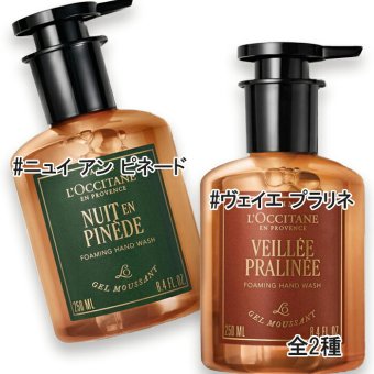 L'OCCITANE(ロクシタン) 【数量限定】フォーミングハンドウォッシュ 250mL （ニュイ アン ピネード・ヴェイエ プラリネよりお選びください） 2026年12月2日より順次発送