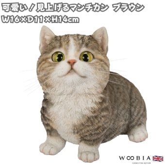 置物 猫 見上げるマンチカン ブラウン 幅16cm woobia ウービア リアル かわいい おしゃれ 玄関 インテリア オブジェ ガーデン マンチカン キジトラ ネコ 動物 アニマル 癒し 棚 北欧 リビング プレゼント ギフト 新築祝い 猫好き