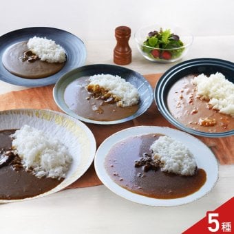 名店カレー物語 レトルトカレー 食べ比べ ギフトセット 5種入 カレー 惣菜 ご飯のお供 おかず 温めるだけ