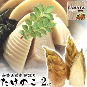 【予約】たけのこ 朝掘りタケノコ 和歌山県産 訳あり 筍 ご自宅用 2kg (ぬか付き) 2023年度産新 竹の子【お届け指定日不可】【送料無料 (北海道,沖縄県除く)】 新鮮！朝堀りタケノコを和歌山県より産地直送！ 4月上旬または中旬頃よりご注文順に発送いたします。(天候の都合により3月末より発送する場合もあり)
