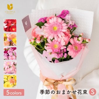 季節のおまかせ 花束Sサイズ ブーケ 韓国ラッピング 花束 生花 花市場から直送 ガーベラ バラ カーネーション  お祝い 誕生日 記念日