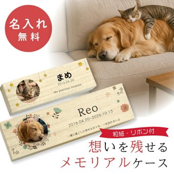  遺毛ケース 桐 写真入り ペット 毛 ひげ 髭 ヒゲ 犬 猫 鳥 ハムスター うさぎ 名入れ フルカラー メモリアルケース メッセージ 愛犬 愛猫