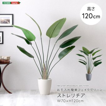 お手入れ簡単 フェイクグリーン ストレリチア Sサイズ(120cm) 新築祝い 開店祝い