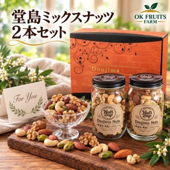 お歳暮 ギフト ナッツ お菓子 親 変わり種 おしゃれ 年配 送料無料 高級 健康食品 御中元 レゼント ナッツ ギフト おつまみ テレビで話題！ ギフト プレゼント スイーツ 無添加・無塩のプレミアム大阪・堂島7種ミックスナッツ中瓶2本セット。北新地・百貨店でお土産に使われています。【堂島ナッツ中瓶セット】
