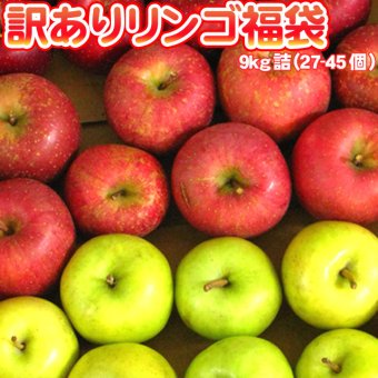 青森りんご 9kg 訳あり 送料無料 福袋 北海道産 青森産 リンゴ ※沖縄は送料別途加算 到着日指定不可