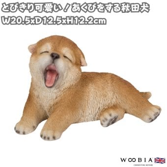 置物 woobia ウービア 日本犬 あくびをしている秋田犬 子犬 幅20.5cm 寝そべり 和風 リアル 本物そっくり イギリス生まれ 職人手彩色 縁起物 戌年 玄関 インテリア 新築祝い 引っ越し祝い 開店祝い 出産祝い 誕生日 お祝い ギフト プレゼント 犬好き 秋田犬好き