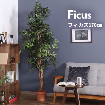 ガーデン エクステリア 観葉植物 フィカス １１２４ Ａ フェイクグリーン 植物 緑 グリーン 癒し 植木 インテリア ガーデニング おしゃれ カフェ リビング プランター ギフト プレゼント 贈り物 オフィス 会社 枯れない 簡単 手入れ 人気 樹木