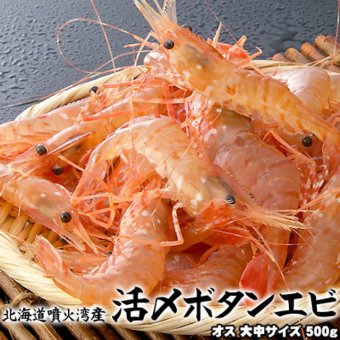 ボタンエビ 活 〆 オス 大中サイズ 500g 秋 北海道 噴火湾産 送料無料※沖縄は送料別途加算
