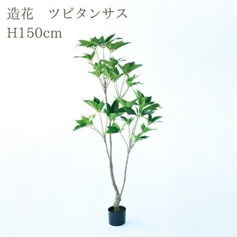 観葉植物 造花 ツピタンサス BROWN 全高約150cm 大型 フェイクグリーン 本物そっくり おしゃれ インテリア 人工観葉植物 アーティフィシャルグリーン オフィス 店舗 ホテル 開店祝い 室内 シェフレラ フェイク ツピダンサス