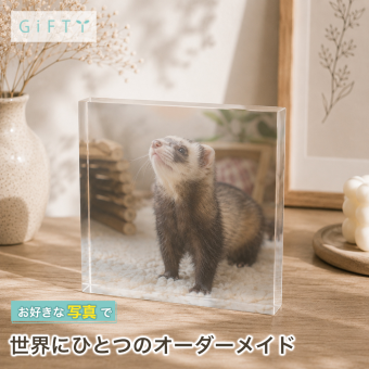 フェレット ガラスブロック ペット ハムスター 名入れ ペットグッズ ペットロス おしゃれ オーダーメイド 飼い主 うちの子 メモリアルフォトフレーム フォトフレーム 記念 高級 記念品 肉球 贈り物 メモリアル クリスタル プレゼント ペット写真 ディスプレイ 記念日 フォトキューブ 誕生日 写真入り 置き物 感謝 写真 写真立て ペット仏壇 オリジナル 虹の橋 愛猫家 うちの子記念日【c01】