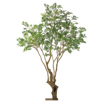 人工観葉植物　大型トネリコ3ｍ　　送料込み　　アスカ商会アイテム