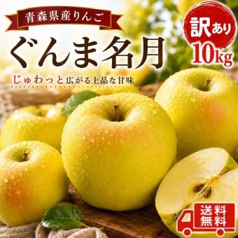 青森県産　りんご　ぐんま名月　訳あり　１０ｋｇ　全国送料無料！