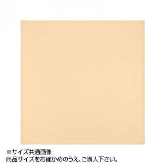 トレシー カラークロス 19×19cm A1919-YOO G-48 ピーチ クリーニングクロス 日本製 メガネ拭き スマホ 液晶画面 レンズ拭き 超極細繊維 東レ 洗える 眼鏡拭き 携帯用