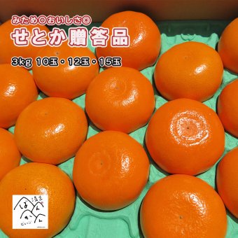 せとか・秀品（贈答用）約3kg L〜3L　愛媛産　みため〇 おいしさ◎  【送料無料※北海道・沖縄除く】